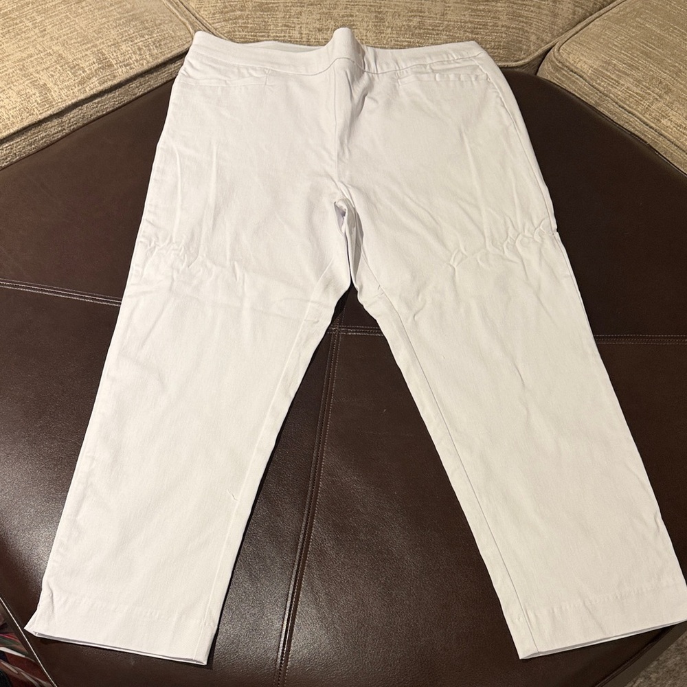 Avenue Women’s Light Gray Dress Pants
